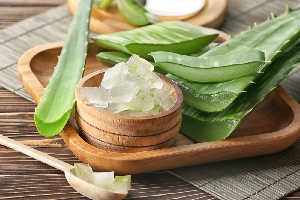 What is Aloe vera, Uses, Benefits of Aloe vera, Side effects of Aloe vera