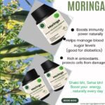 Moringa Extract Capsules – Boost Energy and Immunity
