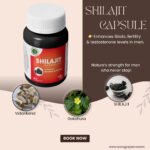 Shilajit Extract-Based Capsules for Energy, Vitality, and Wellness