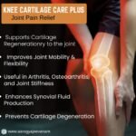 Knee Cartilage Care Tablets