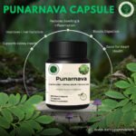Punarnava Extract Capsules – Support Kidney and Liver Health