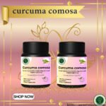 Curcuma Comosa Extract Capsules – Female Health