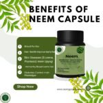 Neem Extract Capsules