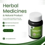 Shallaki Extract Capsules – Natural Joint Support and Anti-Inflammatory Relief