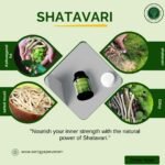 Shatavari Extract Capsules – Natural Support for Women’s Health and Hormonal Balance